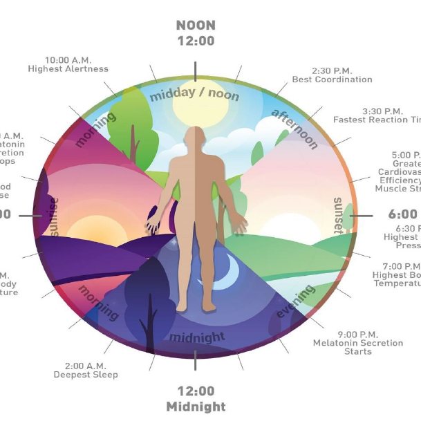 What is human centric lighting?