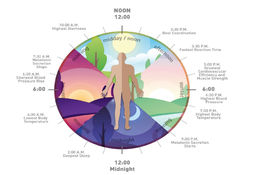 What is human centric lighting?
