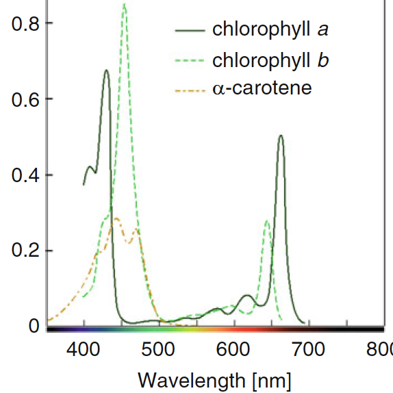 LED Lighting Technology in Plant Growth - Part.3