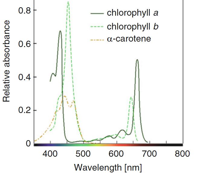 LED Lighting Technology in Plant Growth - Part.3