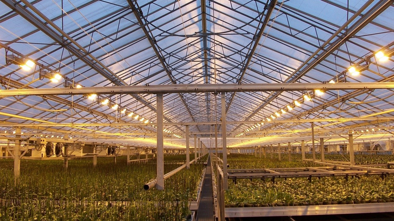LED Lighting Technology in Plant Growth - Part.4