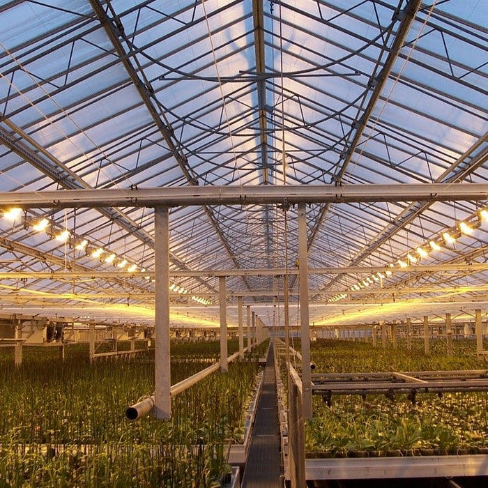 LED Lighting Technology in Plant Growth - Part.4