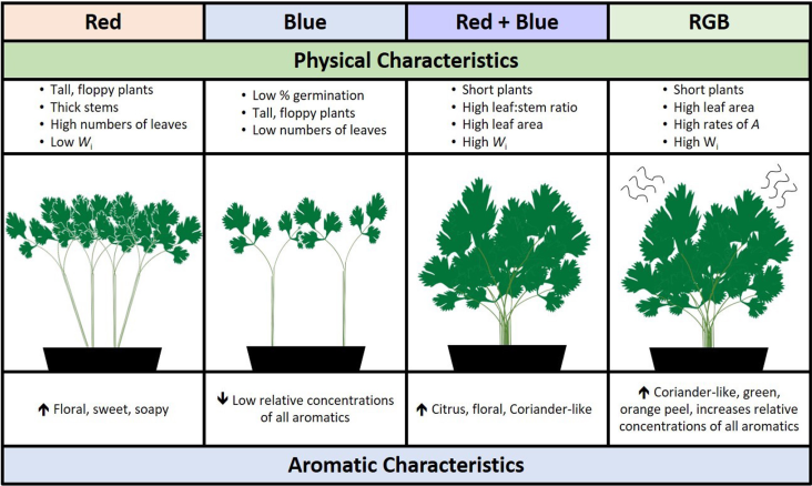 The industry of LED grows light needs a more accurate and detailed biological basis