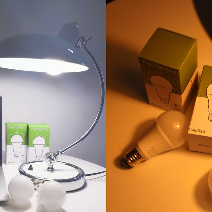 WELL24 Day & Nite A60 Led Bulb