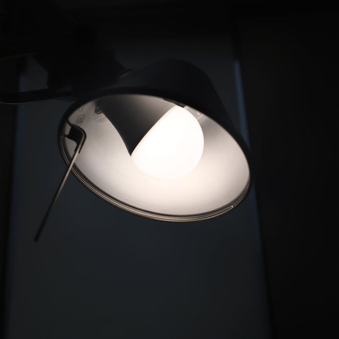 NormLite™ CRI 98 D50 Standard Illuminant LED Bulb 5000K