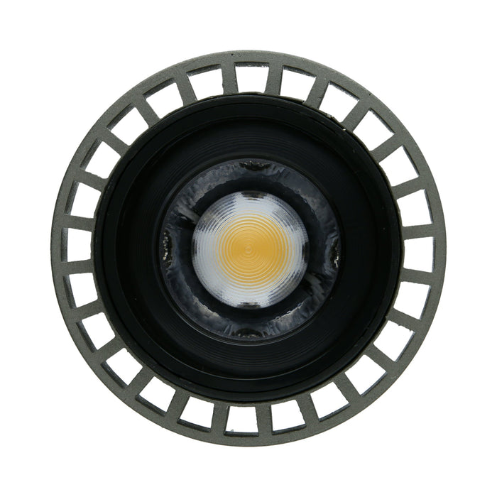 High CRI Dimmable Angle Adjustable  PAR30 Bulb