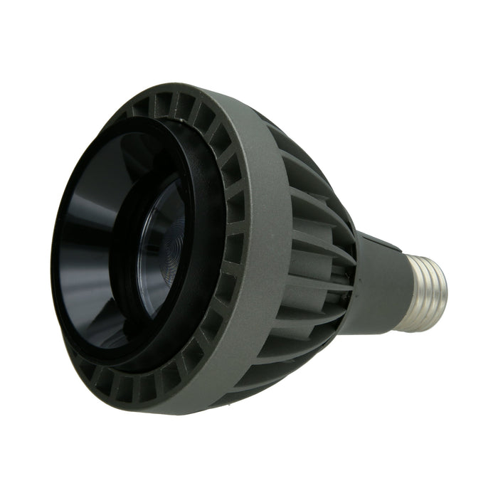 High CRI Dimmable Angle Adjustable PAR30 Bulb