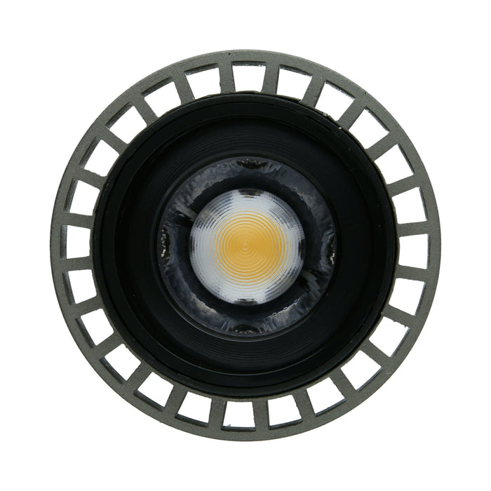 High CRI Dimmable Angle Adjustable PAR30 Bulb