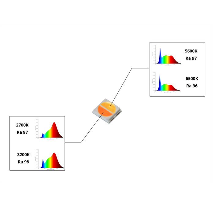 YUJILEDS® CRI 95+ 1W 2-in-1 Tunable White LED SMD 3032
