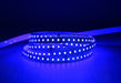 YUJILEDS® Single Color Blue LED Flexible Strip