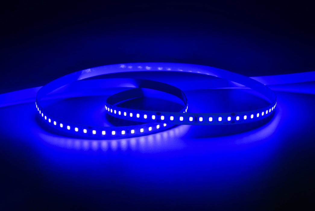 YUJILEDS® Single Color Blue LED Flexible Strip