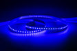 YUJILEDS® Single Color Blue LED Flexible Strip