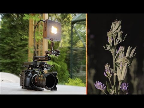 YUJILEDS® CRI 95+ 9W COB LED 6500K - 135L