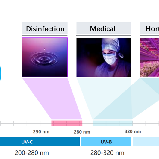 Understand the Benefit and Harm of UV