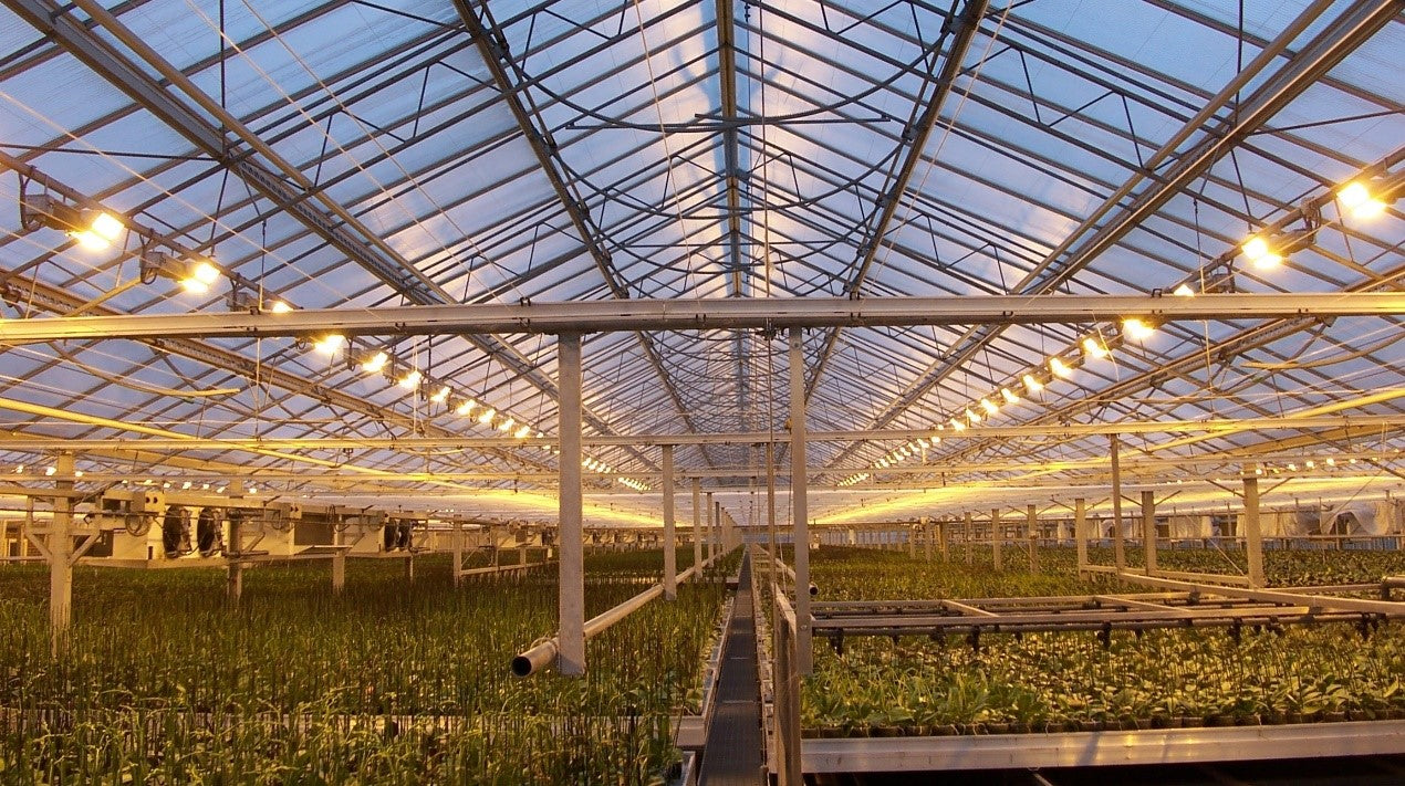 LED Lighting Technology in Plant Growth - Part.4