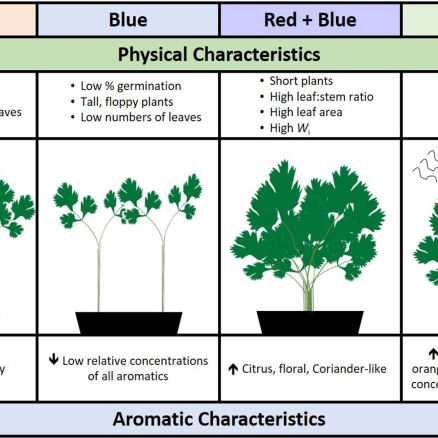 The industry of LED grows light needs a more accurate and detailed biological basis