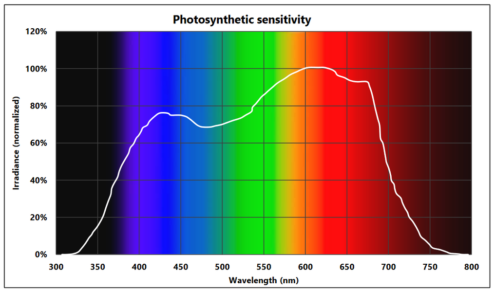5_1200x600_crop_center.PNG?v=
