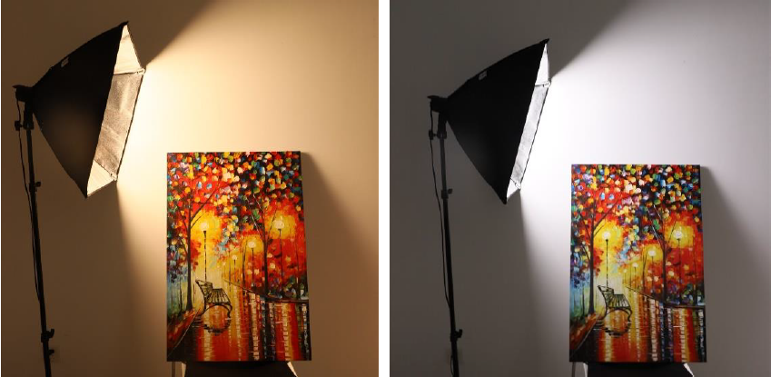 Lights for Live Streaming & Video Broadcasting Beginners（Part.1）