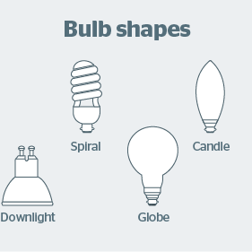 Introducing Typical Bulb Shapes and Sizes