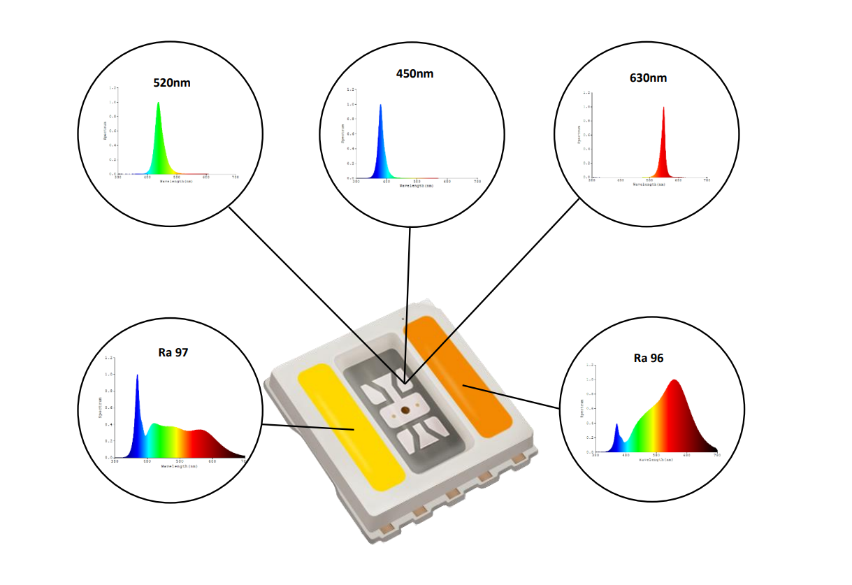 YUJILEDS® 5-in-1 RGBWW LED SMD & LED Strip with Integrated Full Chromatic Gamut & Excellent Color Rendering