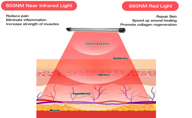 Benefits of Near-Infrared Light (NIR):