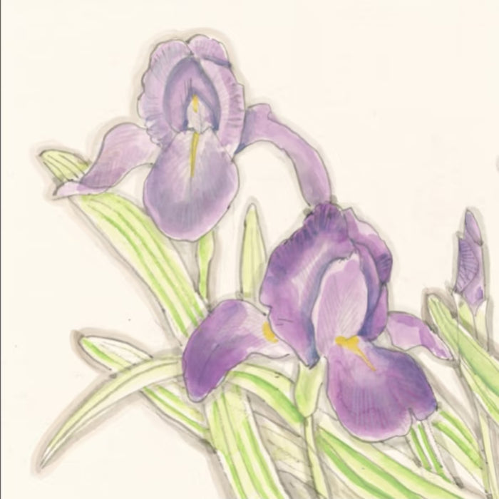 Geng Yukun's "Iris" (1989) Watercolor Painting Reproduction