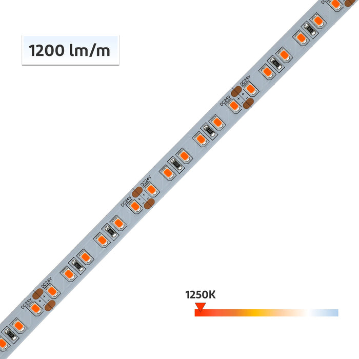 Well24™ FlameWarm LED Flexible Strip 1250K Pre-sleep Lighting - 5m/Reel