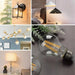High CRI 95+ A19 LED Dimmable Filament Bulb
