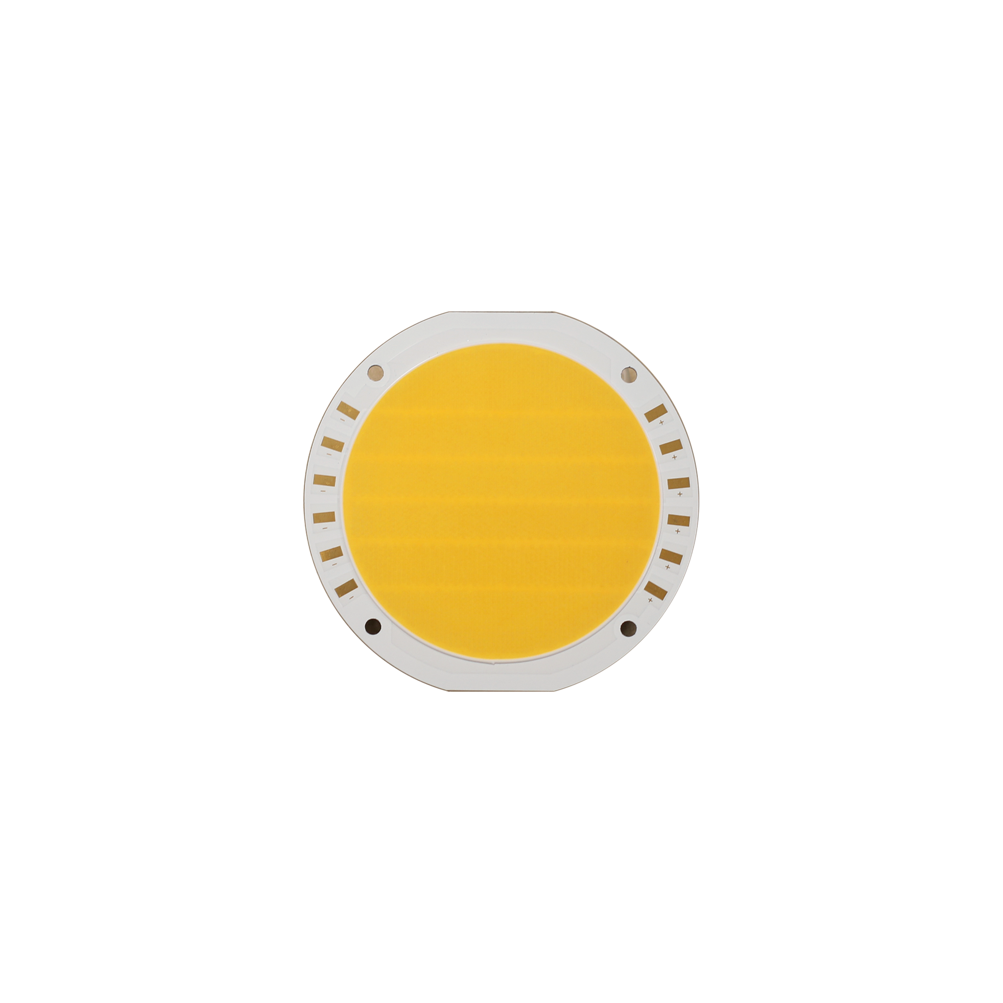 YUJILEDS® LED COBs