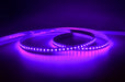 YUJILEDS® Single Color Violet LED Flexible Strip